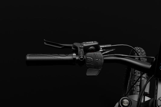 Vélo électrique de ville LANKELEISI RX600PRO équipé d’une poignée d’accélérateur à pouce