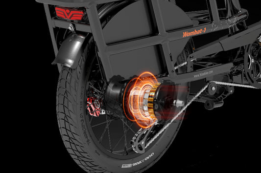 LANKELEISI Wombat-1 Vélo Électrique de Livraison, Moteur Arrière 1000W
