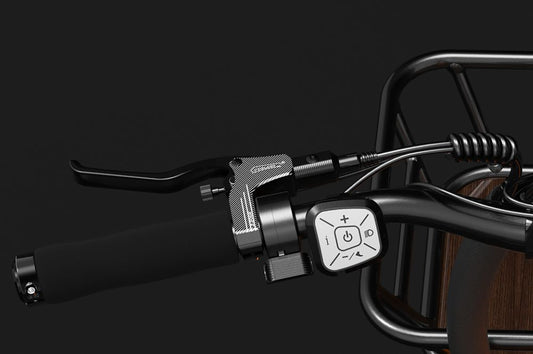 Accélérateur à Pouce du Vélo Électrique de Livraison LANKELEISI Wombat-1