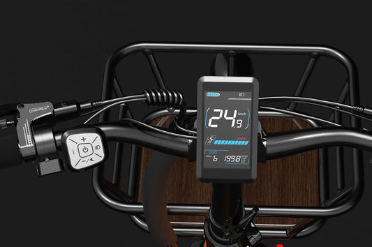 Écran couleur du Vélo Électrique de Livraison LANKELEISI Wombat-1