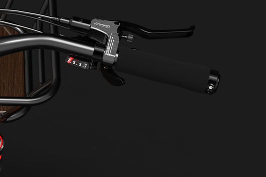 LANKELEISI Wombat-1 Vélo Électrique de Livraison, Dérailleur Shimano 7 Vitesses Arrière