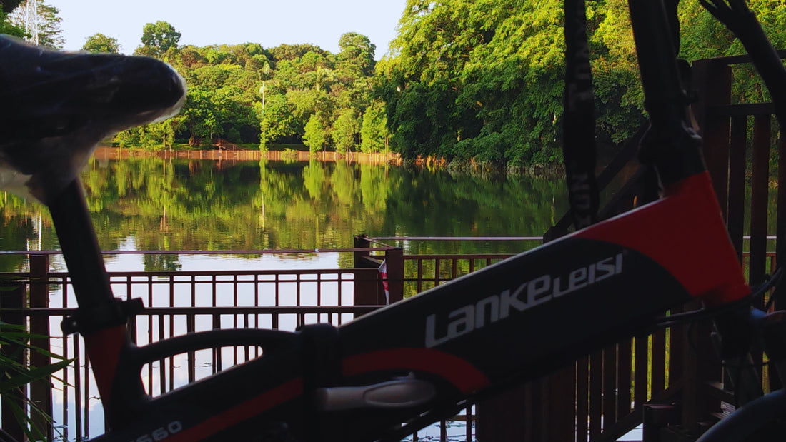 Lankeleisi G660 Electric Bicycle