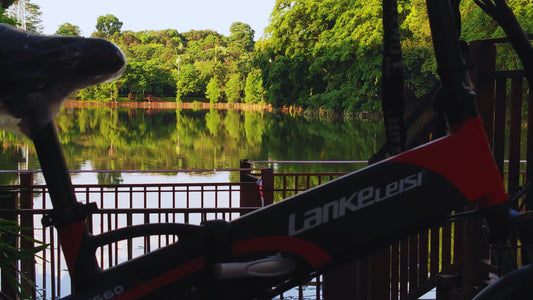 Lankeleisi G660 Electric Bicycle