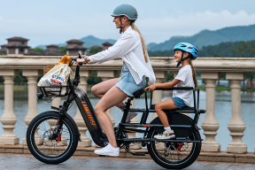 LANKELEISI wombat-1 1000W 1000W step thru e-bike, capacité 200KG