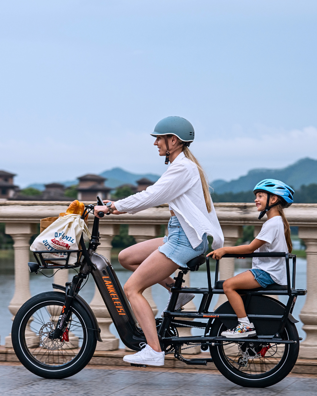 LANKELEISI wombat-1 cargo e-bike avec moteur 1000W et batterie Samsung 960Wh