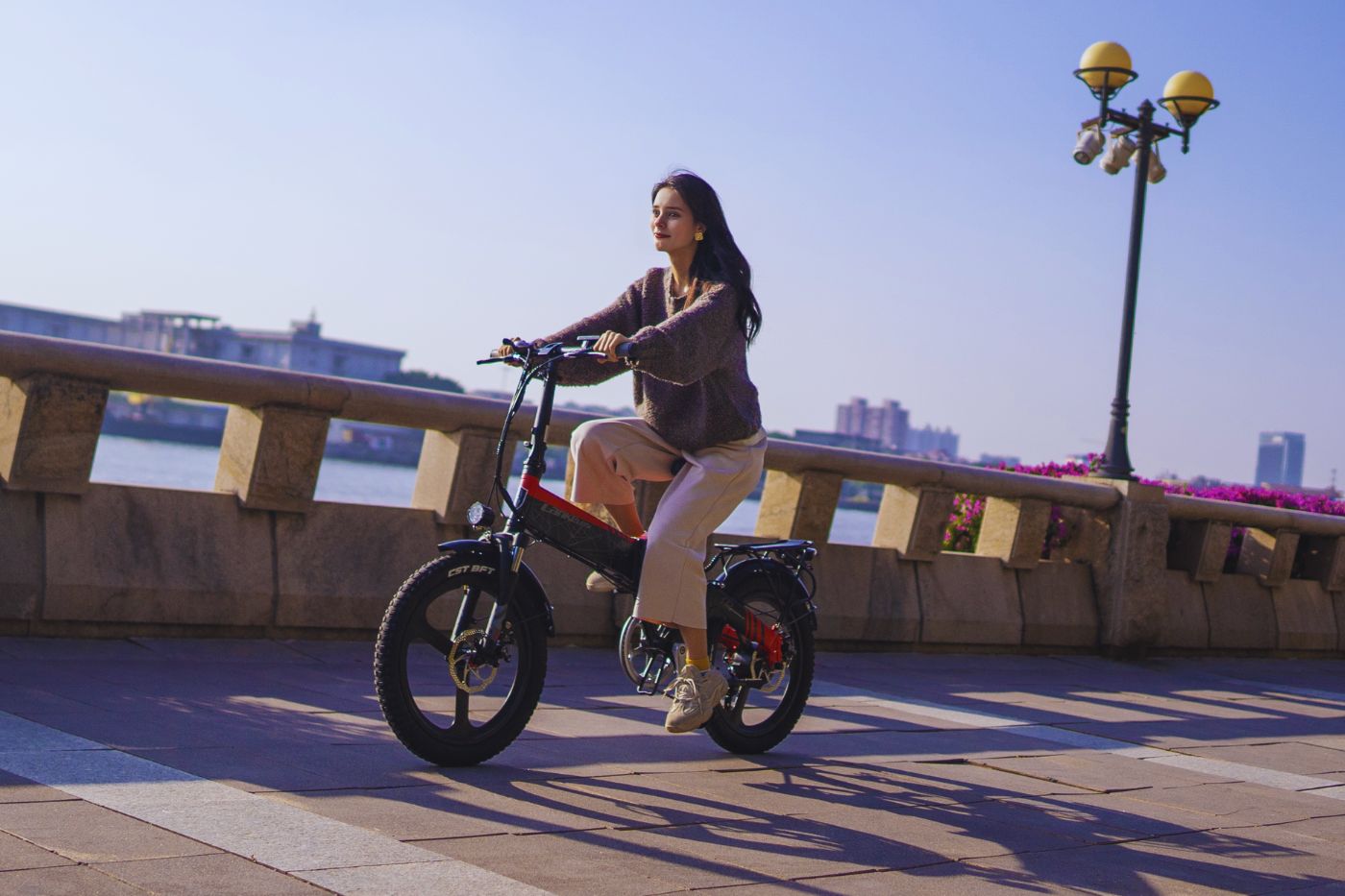 Vélo Électrique Urbain LANKELEISI G650 500W, Vitesse Maximale de 25KM/H