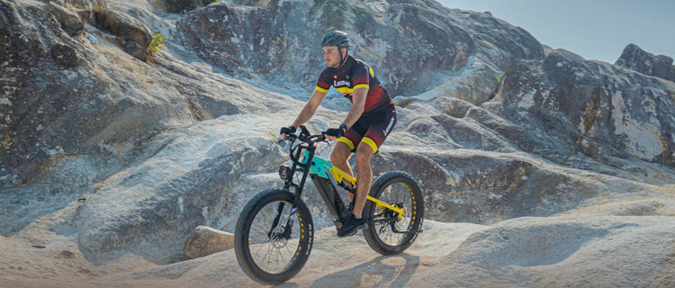 LANKELEISI RV800PLUS 750W Vélo électrique de montagne Bafang