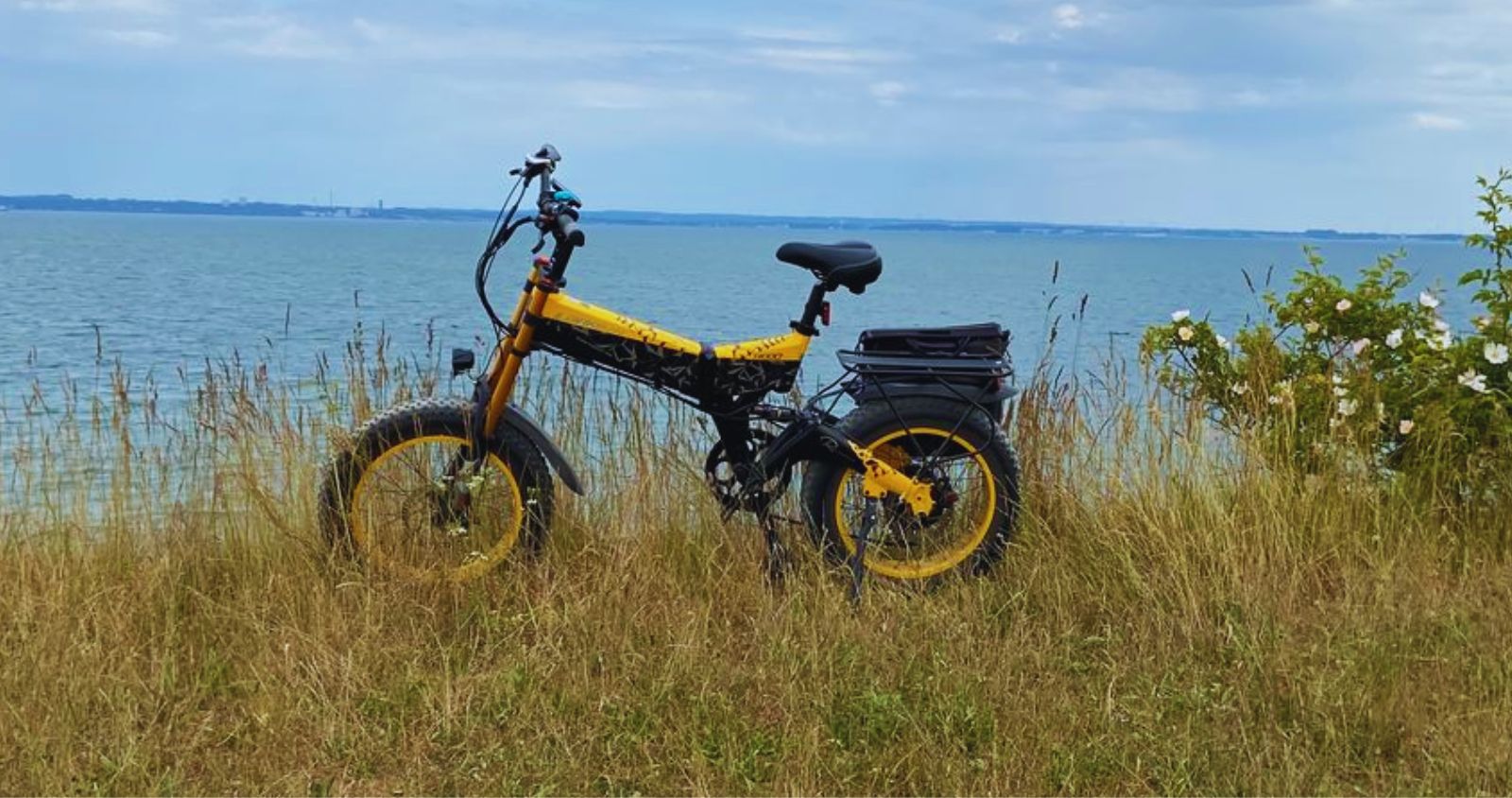 LANKELEISI X3000plus-up 1000W Vélo Électrique Tout Terrain Pliant