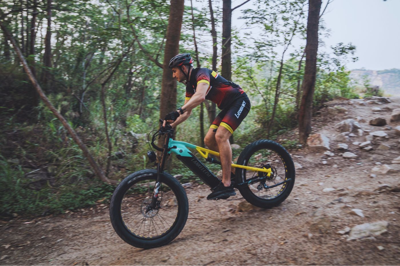 Vélo électrique tout-terrain LANKELEISI RV800PLUS