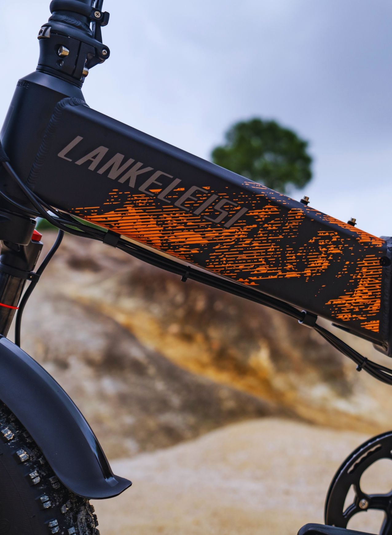 Lankeleisi