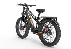 Lankeleisi MG800MAX vélo tout-terrain électrique double moteur puissant gris