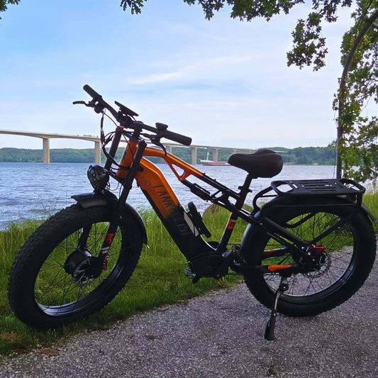 Vélo Électrique Lankeleisi MG800Max 2000W à Double Moteur
