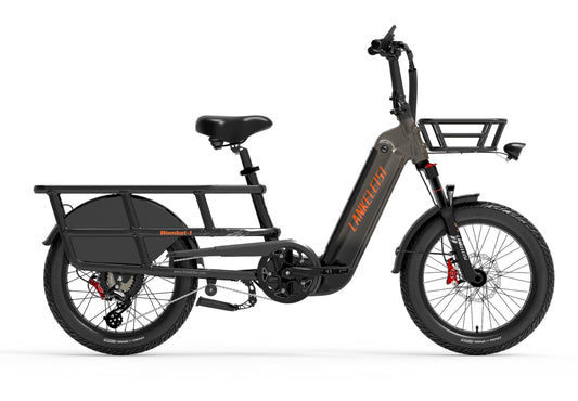 LANKELELSI womabt-1 cargo ebikes gray