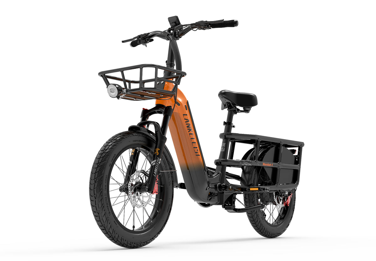 LANKELELSI womabt-1 cargo ebikes