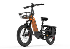 LANKELELSI womabt-1 cargo ebikes