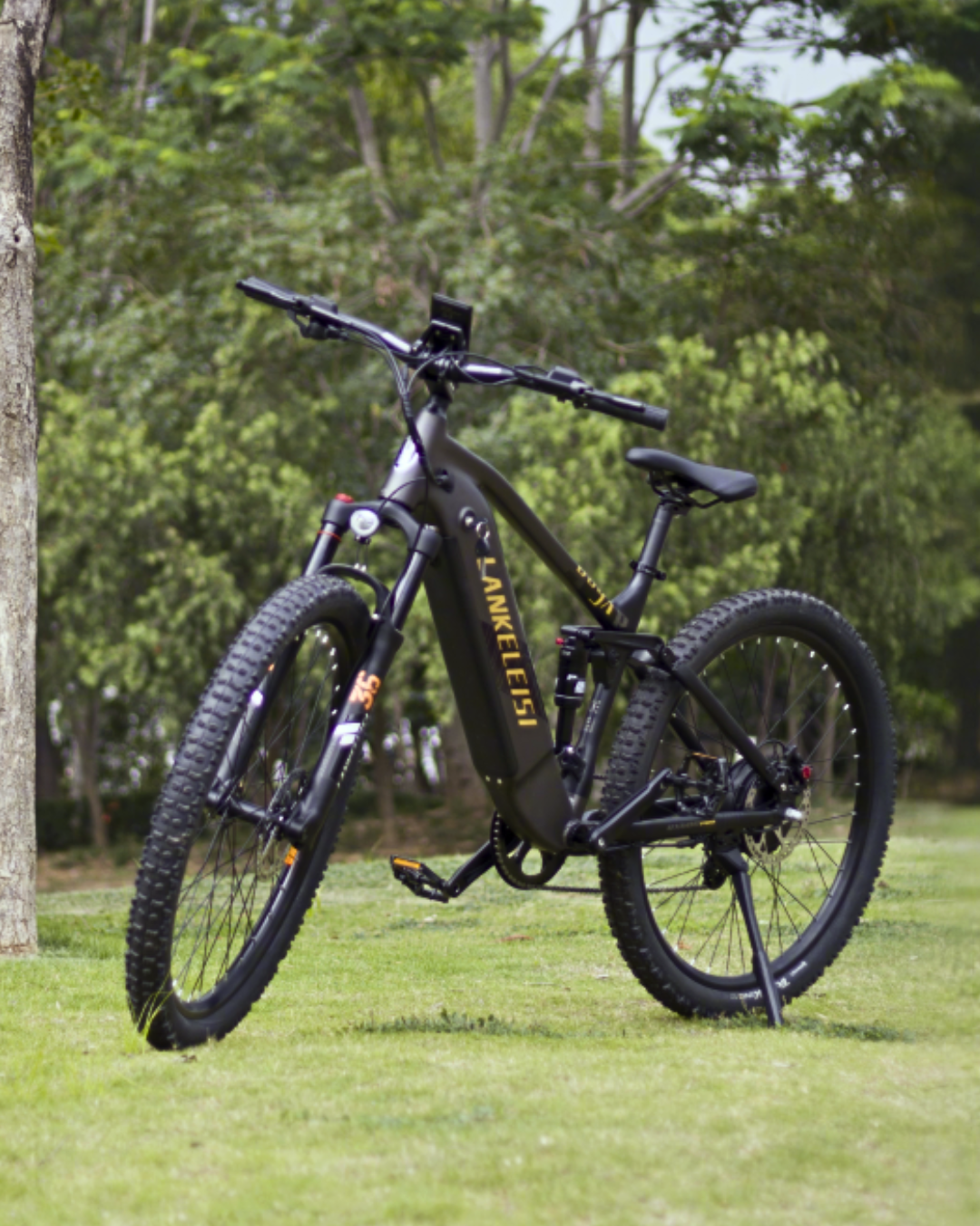 lankeleisi RX600PRO 250W Mountain E-bike