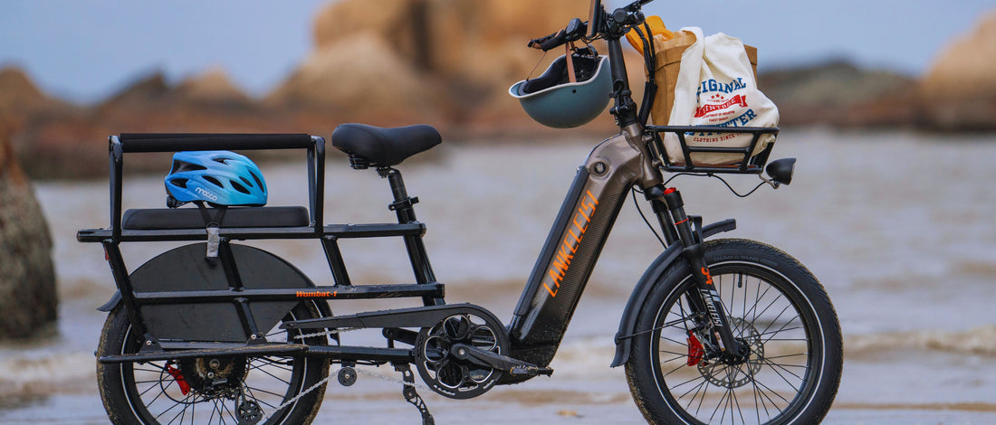 lankeleisi Vélo électrique cargo