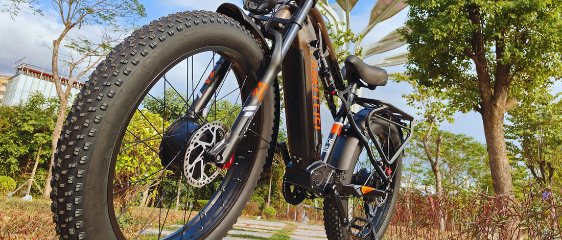 lankeleisi Vélo électrique à pneus larges