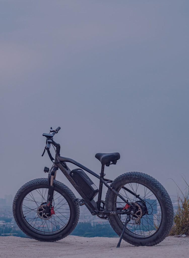 Lankeleisi MG740Plus Vélos Électriques à Double Moteur