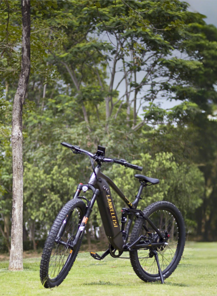 RX600PRO 250W Vélo électrique de randonnée de Lankeleisi
