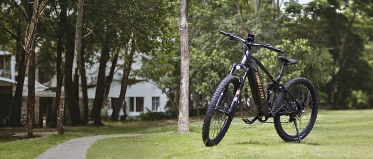 RX600PRO 250W Vélo électrique de randonnée de Lankeleisi