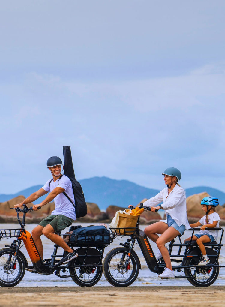 Lankeleisi Wombat-1 1000W vélo électrique cargo, autonomie de 150 km en mode pédalage assisté.