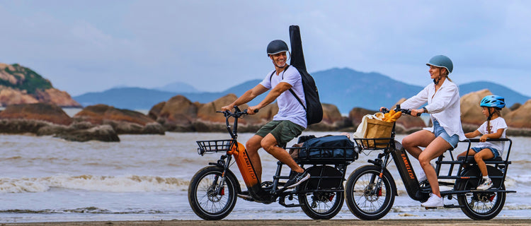 Lankeleisi Wombat-1 1000W vélo électrique cargo, autonomie de 150 km en mode pédalage assisté.