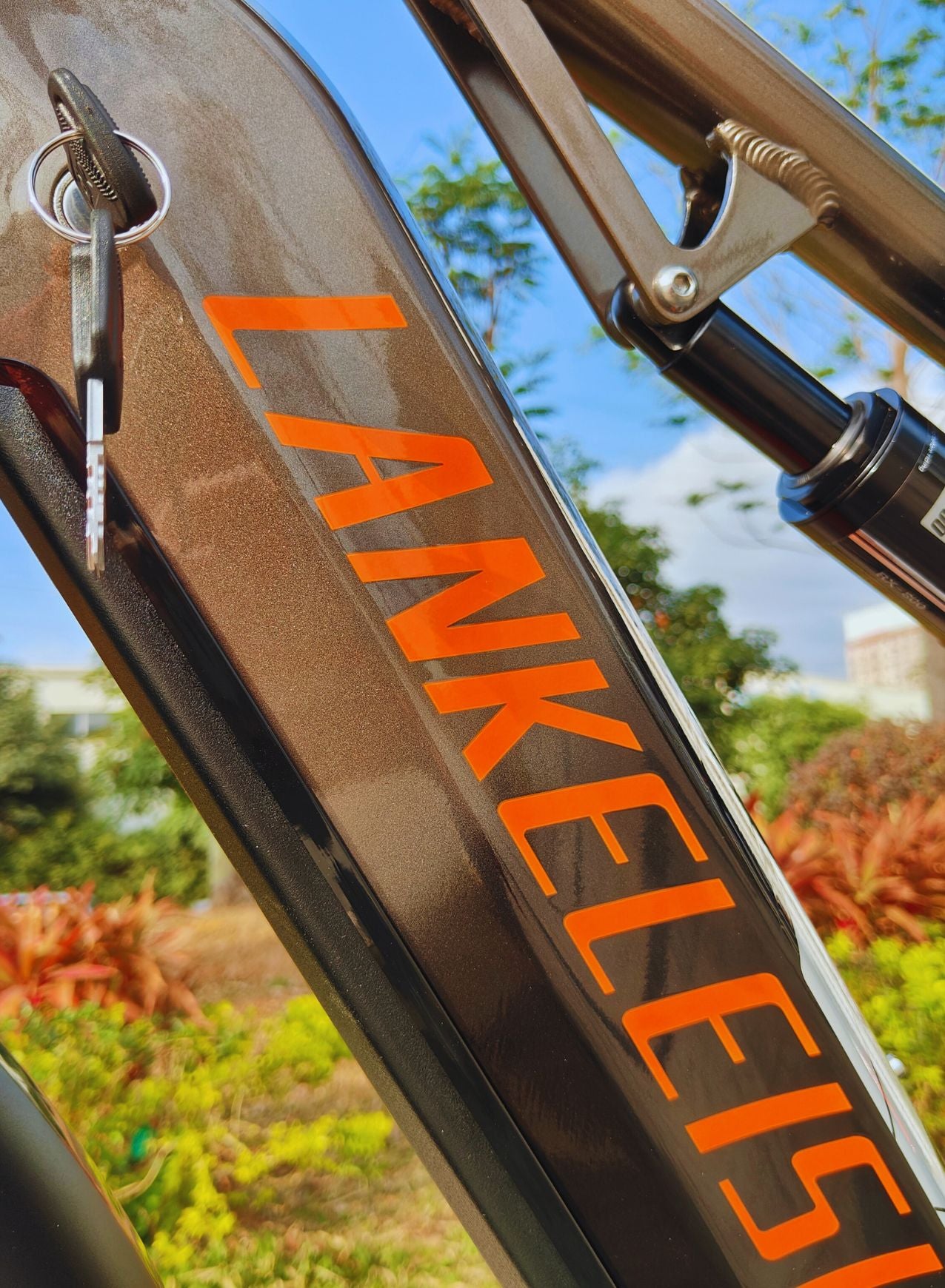 Lankeleisi