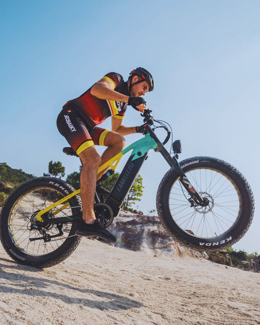 LANKELEISI RV800PLUS 750W Vélo électrique de montagne Bafang