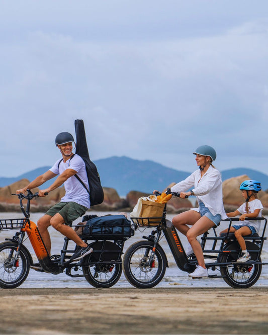 lankeleisi wombat-1 cargo e-bike